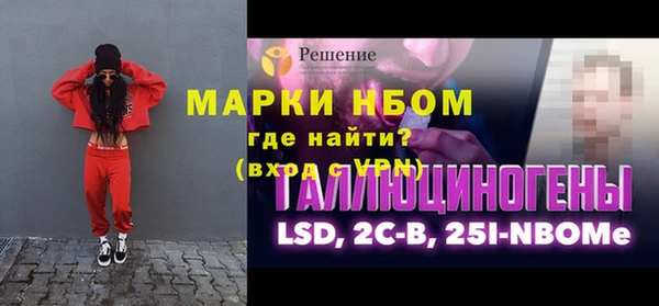 прущий лед Алзамай