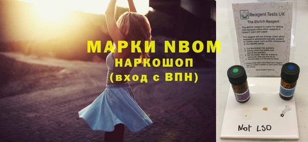 прущий лед Алзамай