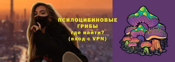 прущий лед Алзамай