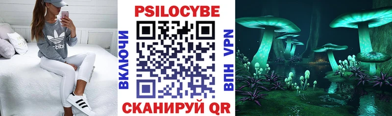 Галлюциногенные грибы Psilocybe Галич