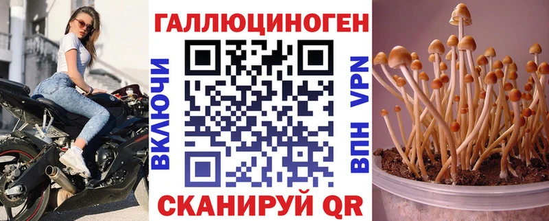 Псилоцибиновые грибы мухоморы  это клад  Галич 