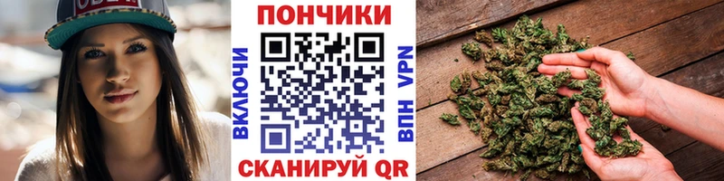 Шишки марихуана White Widow  купить наркоту  Галич 